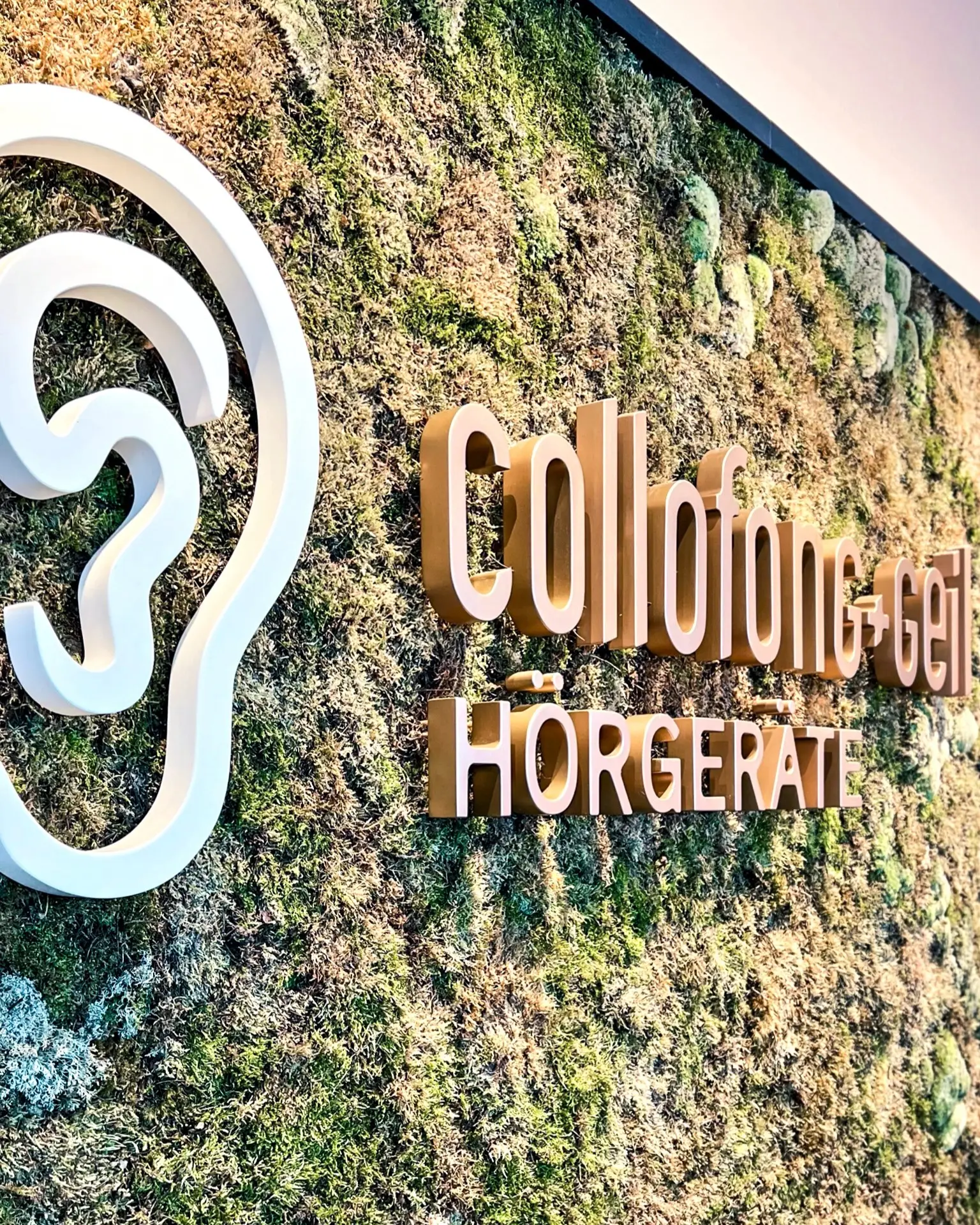 Mooswand mit Collofong-Logo in der neuen Hörgeräte-Filiale