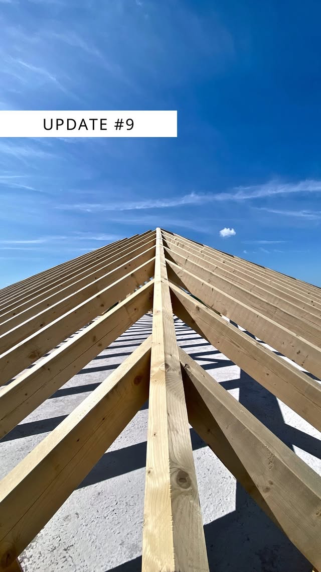 GERBERHAUS9 Bautagebuch: Dach